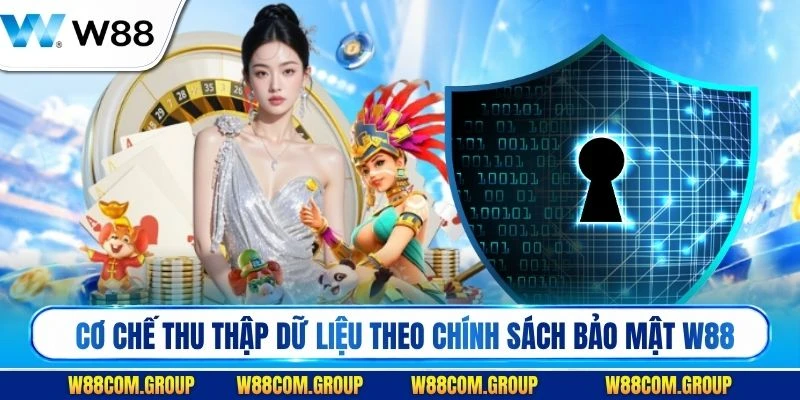 Cơ chế thu thập dữ liệu theo chính sách bảo mật W88